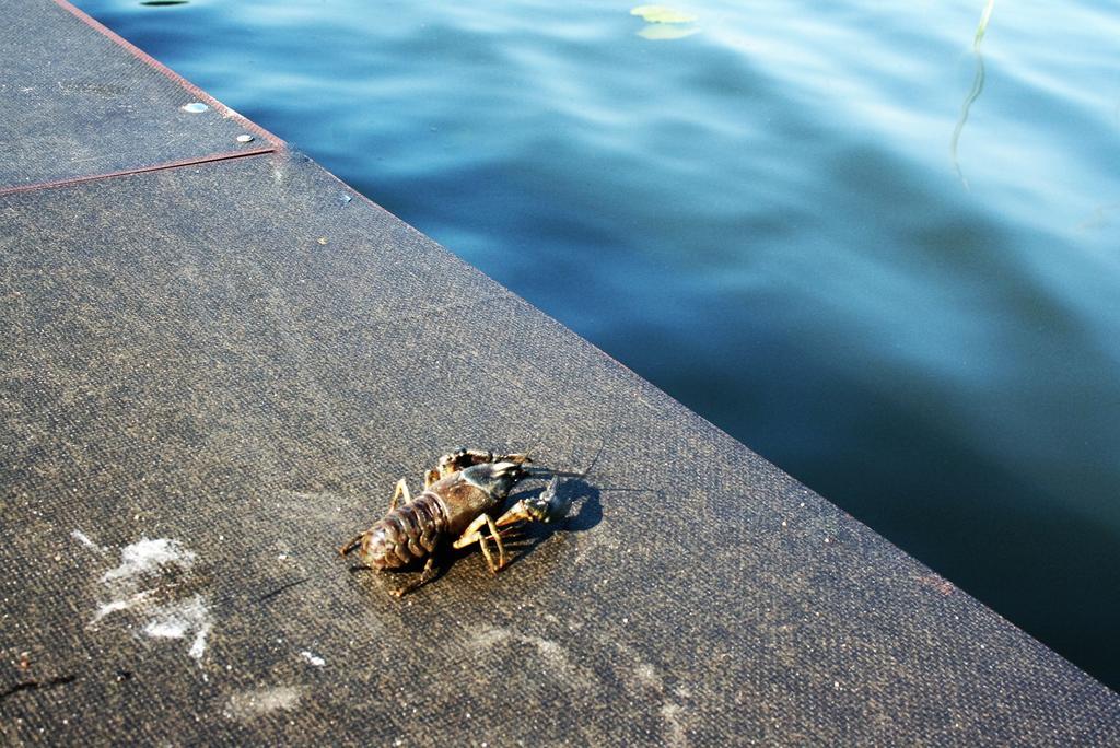 Apartamenty Jasmin I Lilia Jez. Sunowo Kolo Elku Chrzanowo Exteriér fotografie